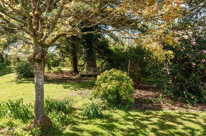 Photo 10- click for photo gallery